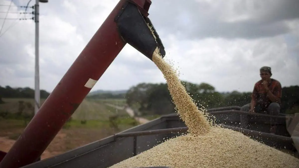 Producción granos Rusia